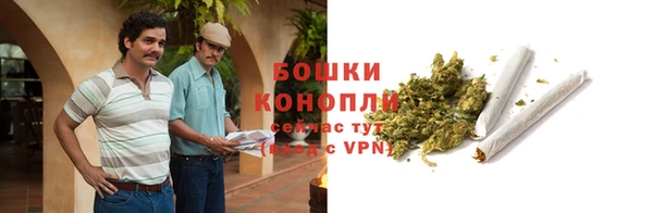 ПСИЛОЦИБИНОВЫЕ ГРИБЫ Новодвинск