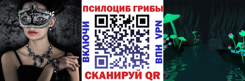 Псилоцибиновые грибы Psilocybine cubensis  Рассказово 